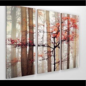 Orange photographic print on wrapped canvas
